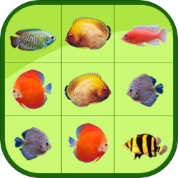 五星体育登录网页版