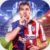 �Ϲ�28�������