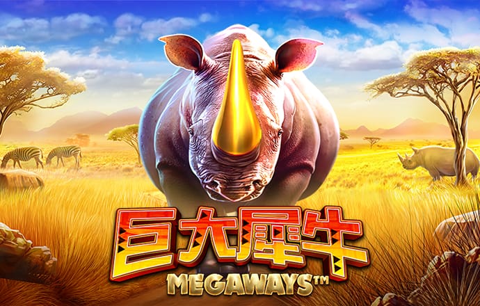 �Ϲ�28ng���ֹ���